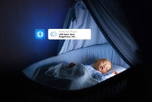 Priza smart Shelly Plus Plug S, Wi-Fi, cu monitorizare consum - EpicHome.ro